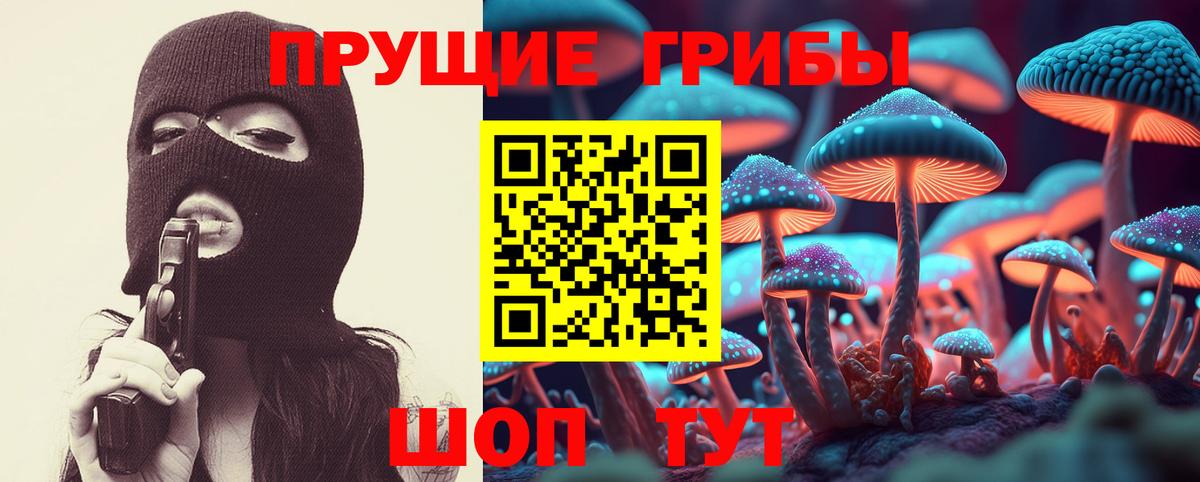 Трёхгорный  Псилоцибиновые грибы Cubensis  Вход с VPN 